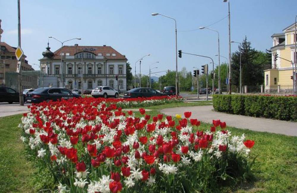 Trenčín kvitne: Holandská spoločnosť pre mesto vytvorila špeciálnu zmes kvetín červeno-bielej farby