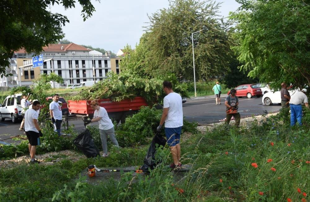 Trenčín dnes zaplavili dobrovoľníci z viacerých firiem: čistili mesto, opravovali a pomáhali