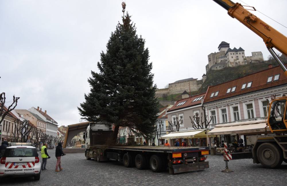 Mesto Trenčín hľadá darcu ihličnana, ktorý by počas vianočného obdobia zdobil priestory námestia