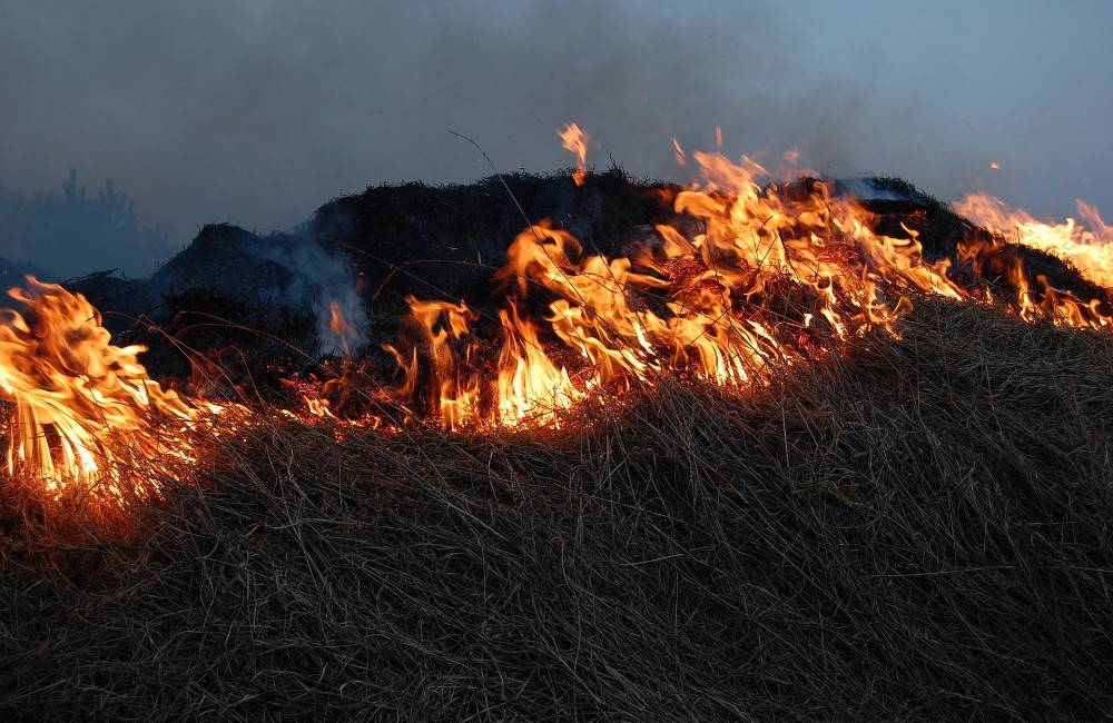 Foto: Nebezpečné vypaľovanie trávy a porastov. Požiarov po nich pribúda a spôsobujú obrovské škody