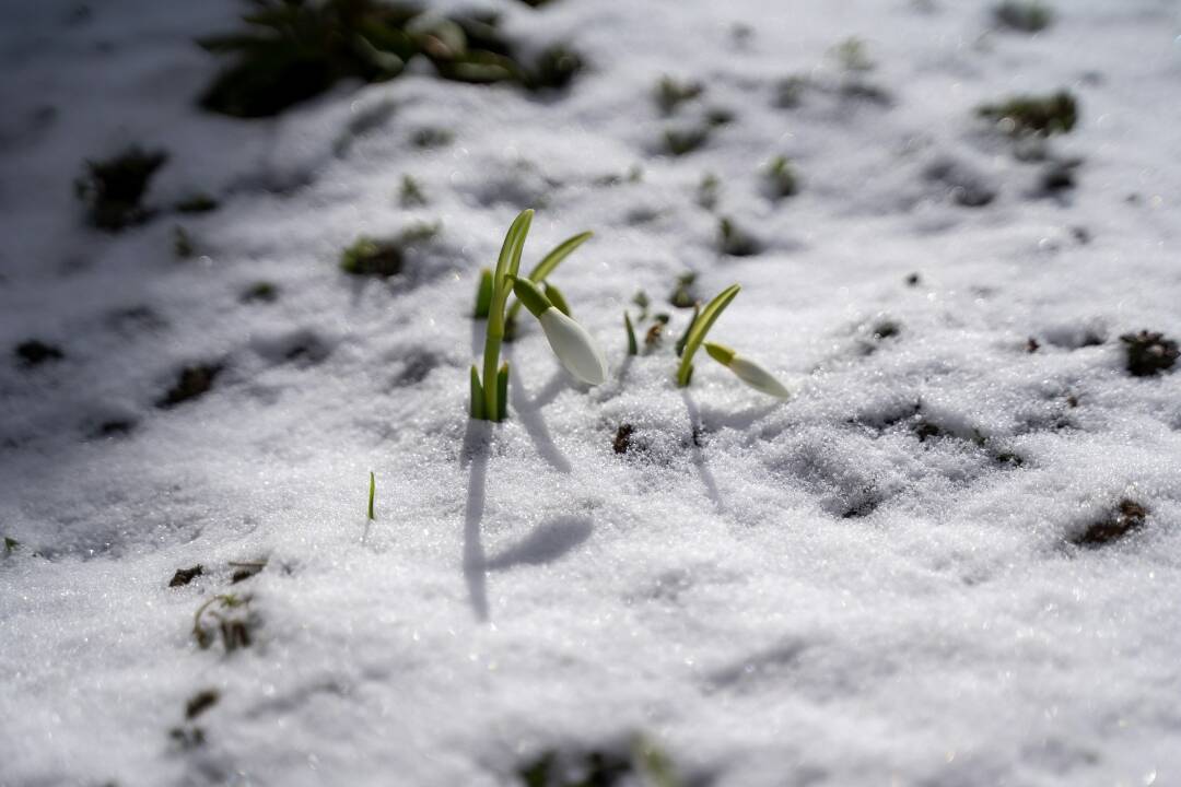 Slovensko čaká náhla zmena počasia. V niektorých oblastiach môže aj snežiť