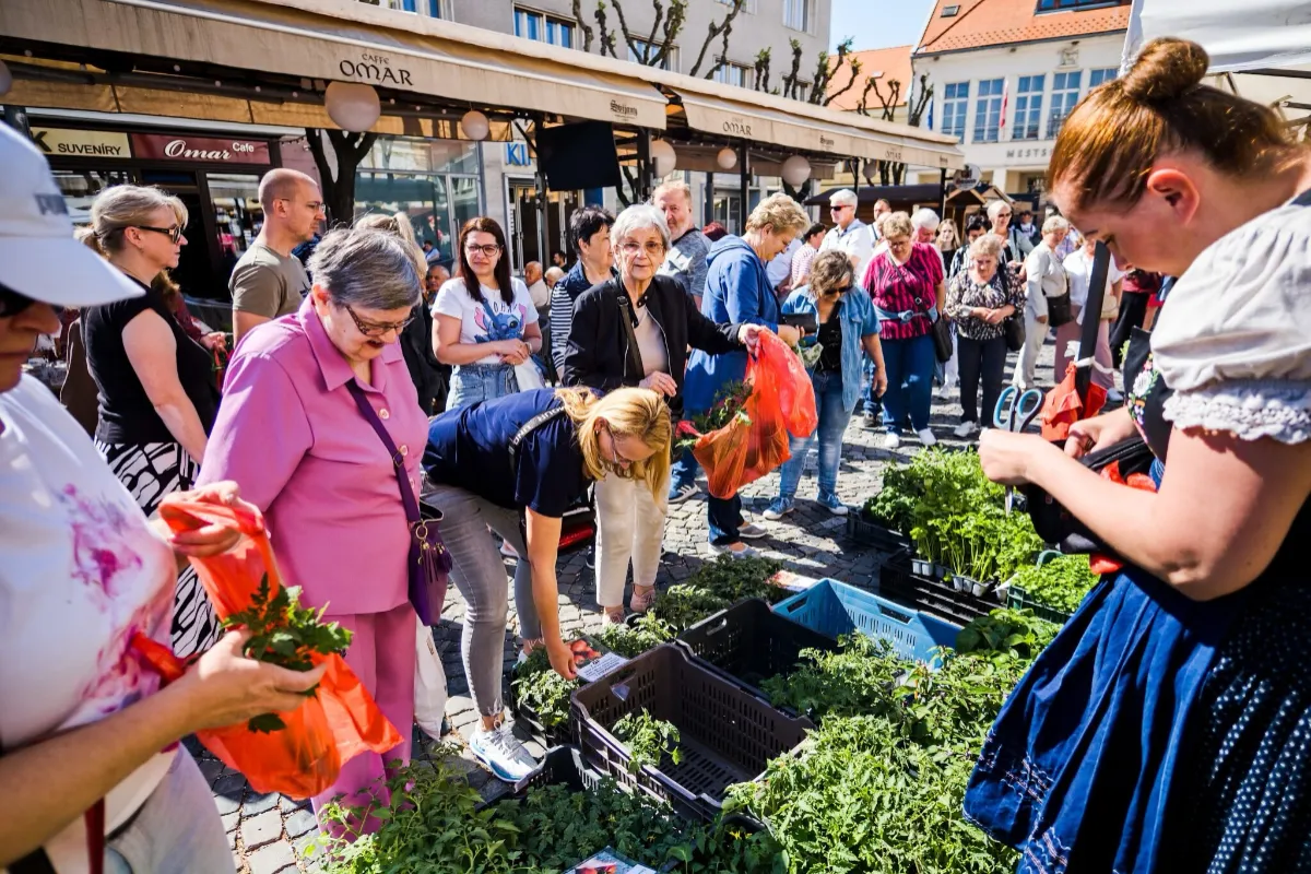 Trenčín sa pripravuje na veľký jarný festival, tradičný Majáles ponúkne koncerty, remeslá, divadlo aj farmársky jarmok