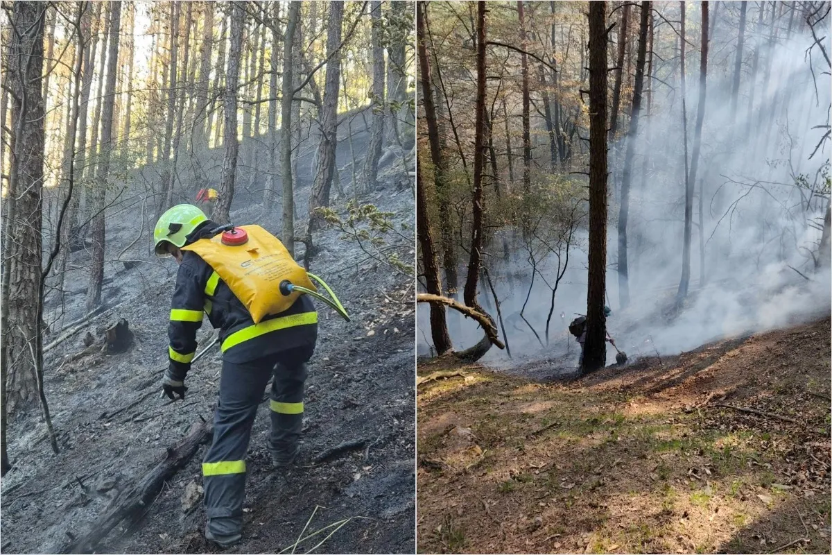 FOTO: Les pri obci v okrese Považská Bystrica zachvátil požiar, zasahujú desiatky hasičov