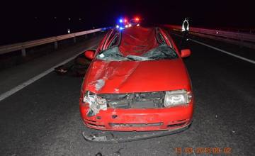 Pri dopravnej nehode pri Prievidzi sa zrazilo osobné auto s koňom, polícia pátra po jeho majiteľovi