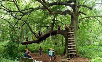 Podporte projekt Vŕbového arboréta v Trenčíne, stačí zaň hlasovať v súťaži Krajšie Slovensko