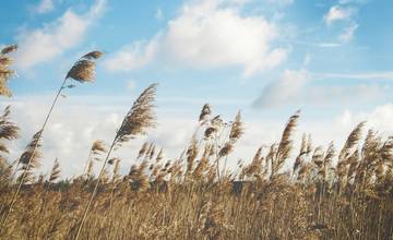 Pozor na silný vietor, SHMÚ vydal výstrahu 1. stupňa pre oblasť Trenčína a celého kraja