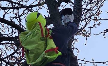 Domino zamestnal v Ladcoch dobrovoľných hasičov. Záchranná akcia vysoko nad zemou 