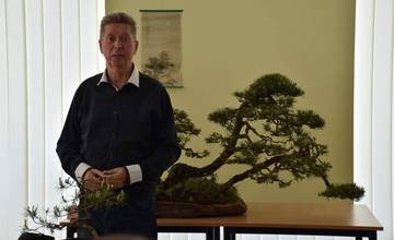 Maxi výstava mini stromov v Považskej Bystrici. Ktorý je najkrajší?