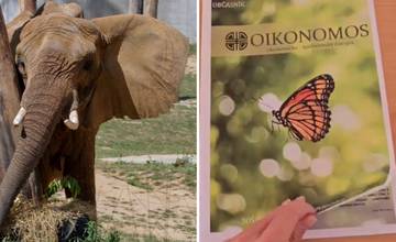 Prievidzskí študenti vyhrali prvé miesto s časopisom, ktorého papier vznikol recykláciou slonieho trusu