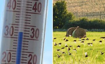 Druhá vlna horúčav v Trenčianskom kraji je tu. Meteorológovia vydali výstrahu 2. stupňa