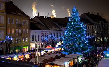 Keď sa zima spýta čo si robil v lete, v Trenčíne odpovedia, že hľadali vianočný strom