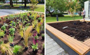 Považská Bystrica rozkvitne. V dvoch vyvýšených záhonoch v parku pribudlo takmer 800 kvetín