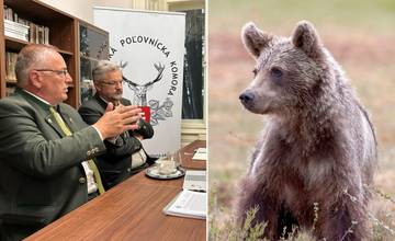 Situácia s medveďmi je podľa poľovníkov a ochranárov politicky manipulovaná