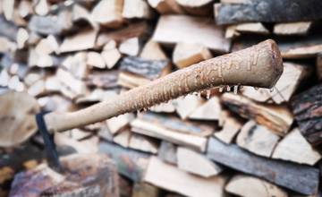 Otrasný prípad týrania psíka v ilavskom okrese. Po úderoch sekerou úbohé zviera uhynulo