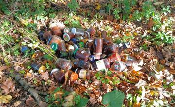 Netradičné prikrmovanie? Jedna vec ale zostala nedomyslená