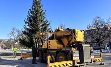 FOTO: Strastiplná životná púť tohtoročného vianočného stromu v Handlovej