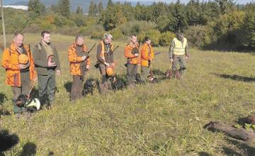 Tejto časti Považskej Bystrice sa radšej vyhnite. Prebehne tam poľovačka na diviaky