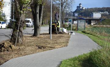 FOTO: Nozdrkovský chodník lemuje nové stromoradie. Samospráva do neho investovala tisíce eur
