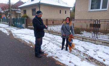 Mestská polícia v Brezovej pod Bradlom si posvietila na psíčkarov