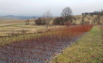 Zaujíma vás prútikárstvo? V obci v myjavskom okrese môžete začať úplne od základov