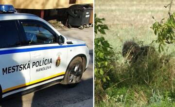 Nenechajte sa odbiť. Ak vám polícia v tomto prípade nepomôže, poruší zákon