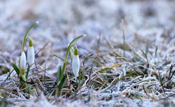 Mrazivá predpoveď meteorológov: Zima ešte nepovedala posledné slovo!