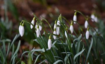 FOTO: Trenčanom sa naskytol uprostred februára jedinečný pohľad 