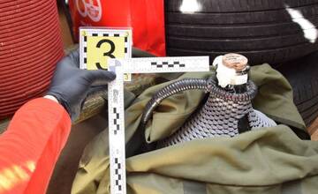 FOTO: V Trenčíne vyčíňal „liehovinový zlodej“. Drzo sa ubytoval v cudzom dome a kradol všetko tekuté