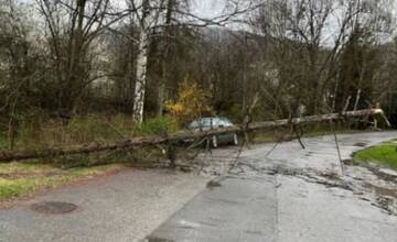 Dávajte si pozor: Silný vietor na Považí láme prvé stromy