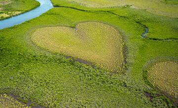 Deň Zeme v Dubnici nad Váhom. Zapojiť sa môže úplne každý