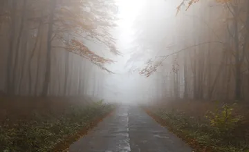 Meteorológovia varujú pred hustými hmlami v Trenčianskom kraji, dávajte si pozor najmä v týchto okresoch