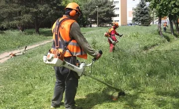Trenčanov hnevá zanedbaná zeleň, mesto však kosí pravidelne, problémom sú neudržiavané súkromné pozemky