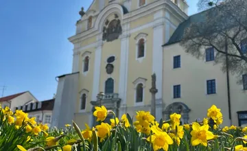 Prievidza zmodernizuje školu aj kultúrne domy za takmer 620-tisíc eur, práce odštartujú budúci rok