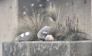FOTO: Niekto zdobí kamene pod podjazdom v Prievidzi a skladá z nich nápadité inštalácie, vodiči sú z gesta nadšení 