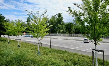 Prievidza plánuje vybudovať záchytné parkovisko, ktoré má odľahčiť centrum mesta od áut. Miestni ale zámer spochybňujú