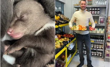 Prievidzský podnikateľ podporil tím, ktorý sa stará o medvieďatá v Zoo Bojnice. Priniesol ovocie z vlastného obchodu