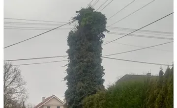 Stĺp elektrického vedenia spôsobuje výpadky osvetlenia v Ilave, mesto žiada majiteľov o spoluprácu 