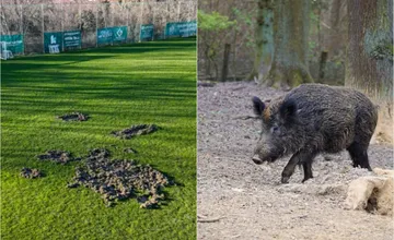 FOTO: Diviaky v Novom Meste nad Váhom opakovane poškodzujú ihrisko pre futbalistov, mesto zasiahne čo najskôr