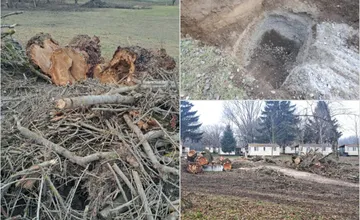 FOTO: Na Zelenej vode prebehla kontrola enviropolicie, nelegálny výrub 80 stromov sa nepotvrdil 