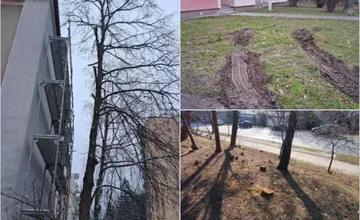 FOTO: Nelegálnym a neodborným zásahom poškodil verejnú zeleň v Trenčíne. Prípad rieši enviropolícia, vinník sa už našiel