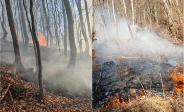 FOTO: Hasiči bojovali s ohňom v ťažko prístupnom teréne, lesný požiar pri Považskej Bystrici hasili celé hodiny
