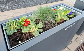 V Trenčianskych Tepliciach vyčína kvetinový fantóm, mesto žiada ľudí o rešpekt, obyvatelia volajú po kamerách 