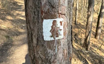 FOTO: Nemilé prekvapenie v Brezine, vandali poškodili značky, ktoré mali zaistiť bezpečnosť chodcov, bežcov aj cyklistov