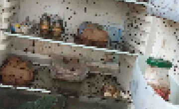 V obci v novomestskom okrese riešili pri zbere odpadu bizarnú situáciu, odmietli tu odviezť chladničku plnú prekvapení