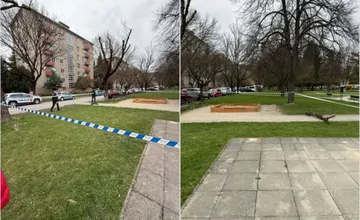 Pád stromu v Považskej Bystrici spustil zásah radnice: choré jasene pôjdu k zemi