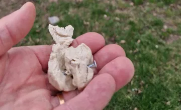 FOTO: V trenčianskom Zámostí sa objavili podozrivé návnady so skrutkami, môžu vážne ublížiť psom