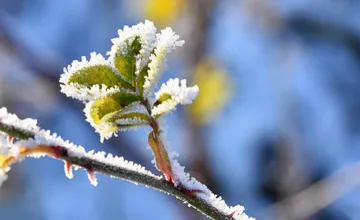 Týždeň po sviatkoch sa do Trenčianskeho kraja vráti mráz, pre jeden z okresov platia aj výstrahy 