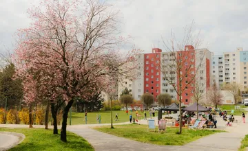 Raňajky pod sakurami otvoria sezónu Živých susedstiev, časť ulice Gen. Viesta však v sobotu uzavrú 