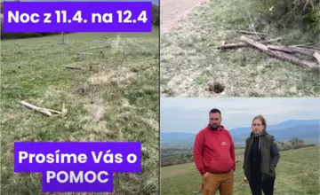VIDEO: Chovatelia z Melčíc prosia o pomoc, na farme im vandali do rána odpílili viac ako 40 stĺpov z novej ohrady 