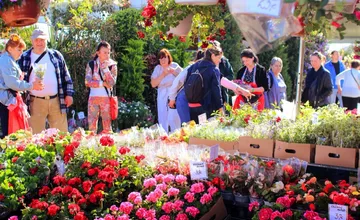 FOTO: Organizátori Záhradkára v Trenčíne očakávajú tisíce návštevníkov a upozorňujú na zmeny v kyvadlovej doprave